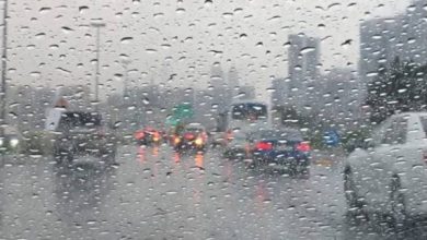 730770149900202509170456215621