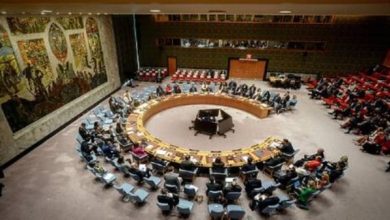 7691773856806202510140838383838