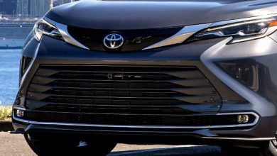 798197776689220251024110230230