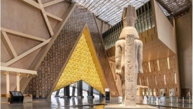 8351016650636202510300353555355