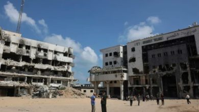 864874869246202510160753565356