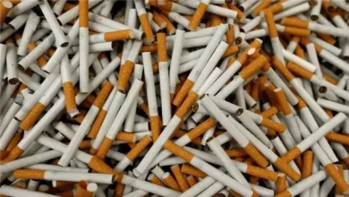 كم سيجارة شربها المصريون في عام 2025؟ الرقم صادم