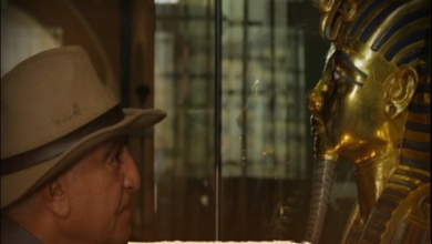 قناة الوثائقية تعرض حلقة جديدة من «جذور مصر القديمة» مساء اليوم