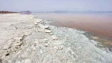 طهران