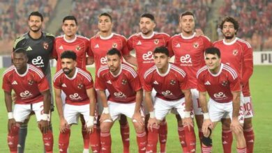 15607219091763833915