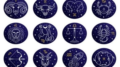 19 2022 638060274515420193 542