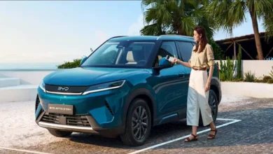 2025 11 25 19 9 14 196.webp