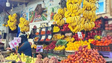 أسعار الطماطم والليمون والفاكهة في أسواق الشرقية اليوم الثلاثاء 4 نوفمبر 2025