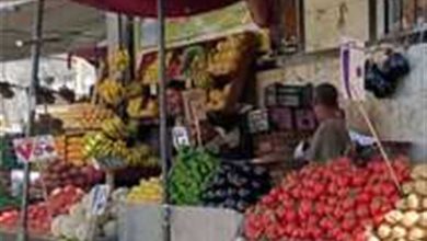 أسعار الطماطم والبطاطس والفاكهة في أسواق الشرقية اليوم الثلاثاء 11 نوفمبر 2025