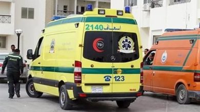 إصابة 4 أطفال في انقلاب جرار زراعي بكفر الزيات بمحافظة الغربية