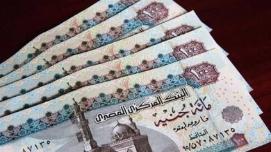 منحة الـ1500 جنيه للعمالة غير المنتظمة تبدأ الصرف 2025.. سجل الآن