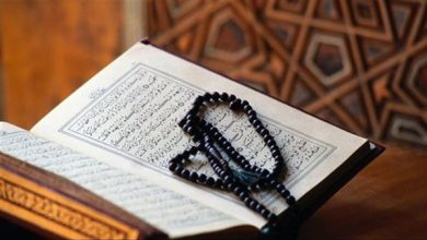 سبب نزول الرحمة وحضور الملائكة.. ما هو فضل قراءة القرآن وسورة البقرة تحديدا؟