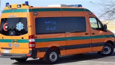 «اراد فرض إتاوة».. شاب يتعدى على صاحب مقهى بالشرقية بسلاح أبيض