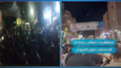 الداخلية تكشف تفاصيل ضبط أنصار مرشحين شاركوا في تجمعات انتخابية بالبحيرة والفيوم