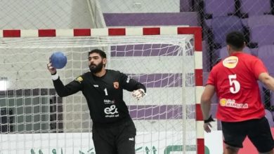 6141310692637202511140552175217