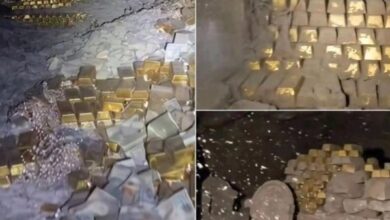 663740585913202511240335443544