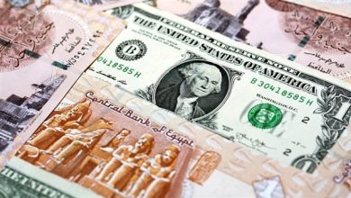 بفارق 21 قرشا.. سعر الدولار اليوم الجمعة 14 نوفمبر 2025.. هل يرتفع قريبا؟