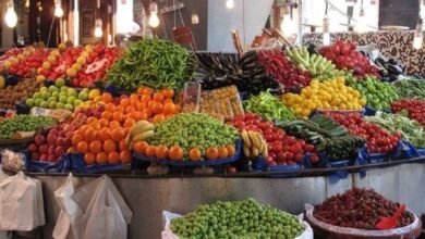 699200975598202511181224182418