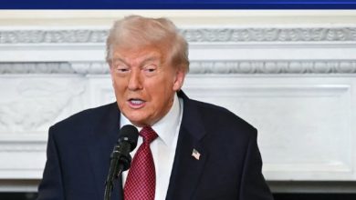 759129037262202511080132293229