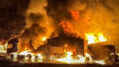 763196696269920251019020434434