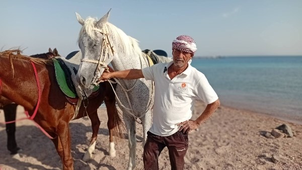 7663982982202511170310121012