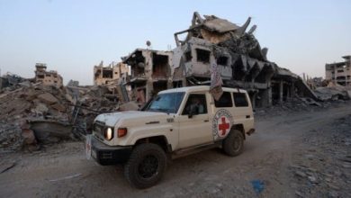 7691773856806202511081215491549