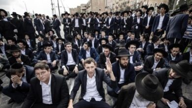 8351016650636202511200319441944