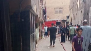 السيطرة على حريق داخل معمل تفريخ بقرية ميت العطار ببنها