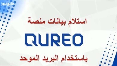 Japanese Kirio platform login 1