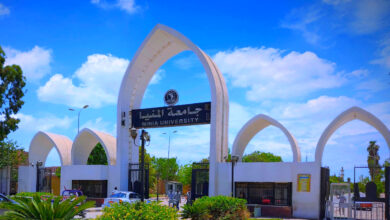 جامعة المنيا