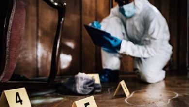 medium 2025 11 13 f3b0d484ed