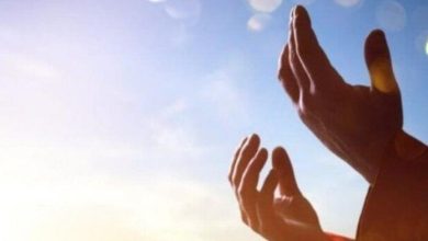 medium 2025 11 15 267a6d7da3