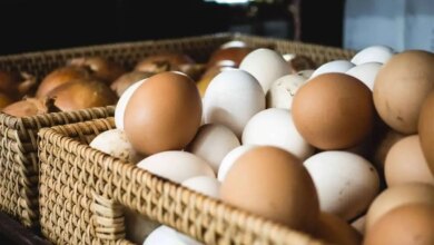 أسعار البيض اليوم 1763556586 0