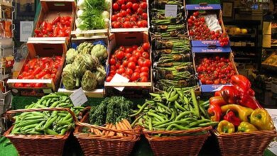 أسعار الخضروات والفاكهة 1763359075 0