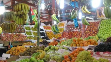 أسعار الفاكهة في سوق العبور اليوم 1739807242 0