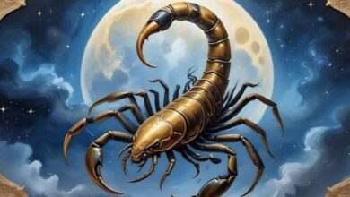 برج العقرب الاثنين 24112025 طاقة قوية وتحولات تفتح أبواب النجاح