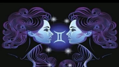 توقعات برج الجوزاء 25 نوفمبر 2025 استقرار العلاقات وتأثيرها على