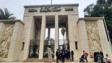 حديقة الحيوان