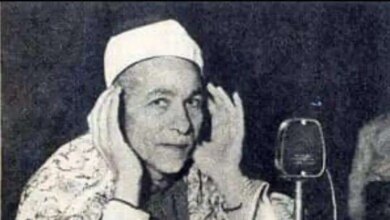 منصور الشامي الدمنهوري 1764443015 0