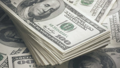 هبوط اضطراري سعر الدولار مقابل الجنيه المصري يسج