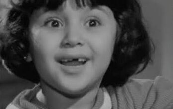 1 14ea352f 58bd 4cef b816 54aa8a0943d1