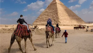 كمال ريان: خطة إنشاء 10 آلاف غرفة فندقية بالأهرامات تضاعف أعداد السياح