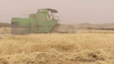 173 201831 tunisia plants ministry of agriculture travelers 700x400