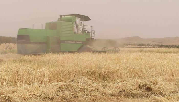 173 201831 tunisia plants ministry of agriculture