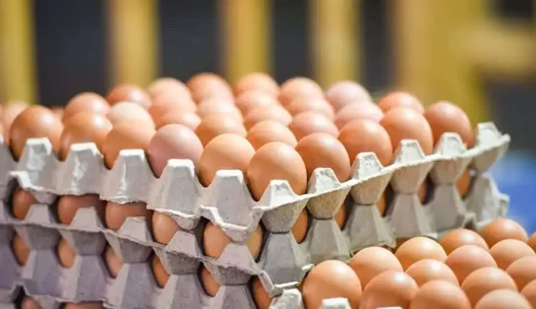 1765682282 أسعار البيض اليوم 1763556577 0