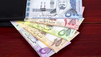1765691282 سعر صرف الريال السعودي في مصر 1763355207 0