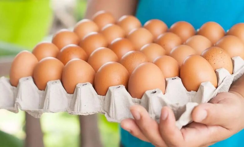 1765763642 أسعار البيض اليوم 1763556580 0