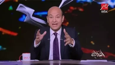 عمرو أديب يواجه محمد صبحي: مؤامرة فيلم «الست»؟.. تغطية على قضية السواق