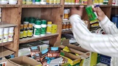 المنيا: ضبط 239 مخالفة تموينية ومشروبات كحولية مجهولة المصدر