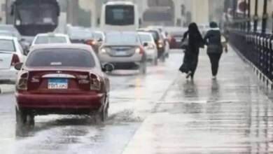 1766037422 حالة الطقس غدا 1765392861 0